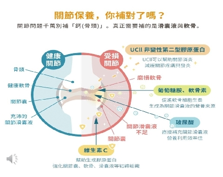 玻尿酸膠原飲